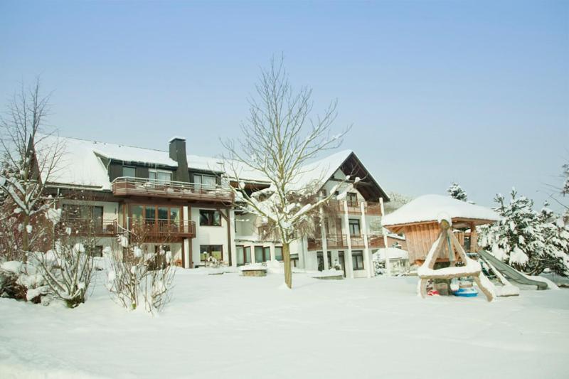 Ferienwohnung Haus Alexandra Willingen  Exterior foto